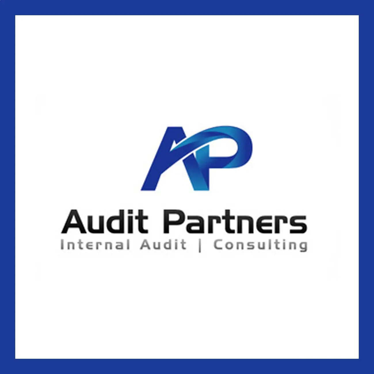 audit partners