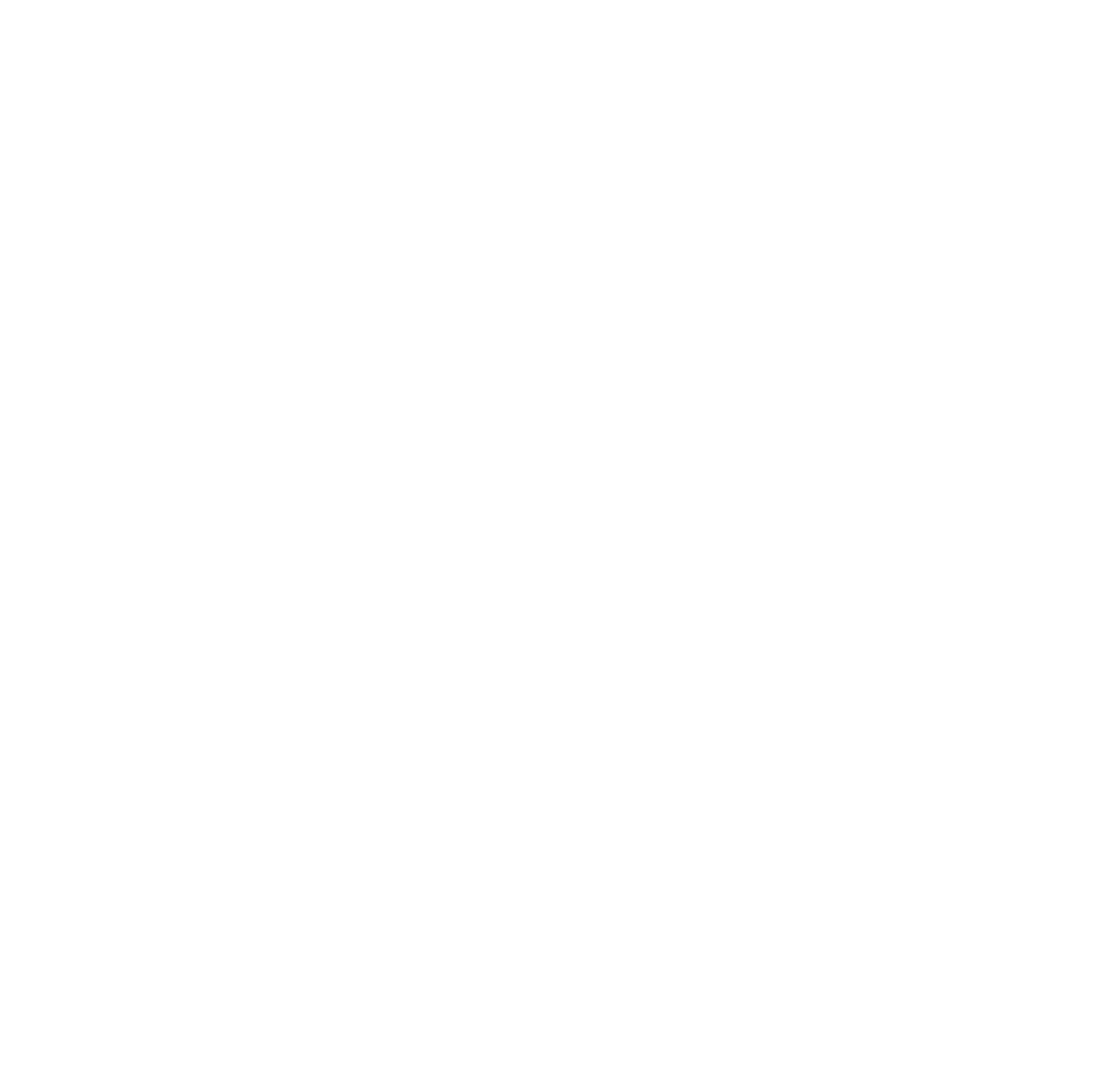 ranknext digital white logo